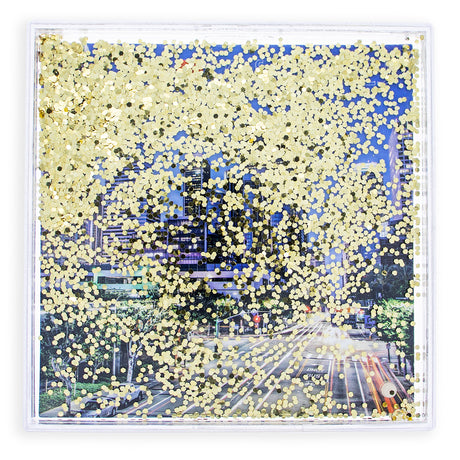 Shop Los Angeles Clear Acrylic Square Water Globe Picture Frame. Buy Crafts Picture Frames Black Square  for Sale by Online Gift Shop BestPysanky flating frame, los angeles, gift, show flating frame, downtown los angeles