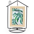 Black House-Shaped Picture Frame and Ornament Stand in Black color,  shape