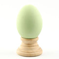 Pastel Green Ceramic Easter Egg 2.5 Inches in Green color Oval