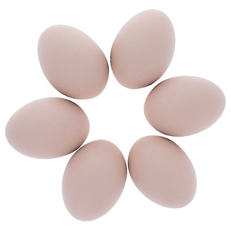 Ceramic Set of 6 Brown Ceramic Chicken Eggs 2.3 Inches in Beige color Oval